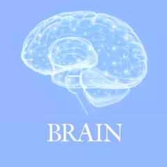 Logo brain